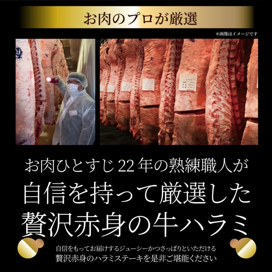 ステーキ ハラミ 牛ハラミ ブロック 焼肉 （タレ漬け）250ｇ タレ 秘伝 焼肉セット 焼肉 ランキング1位 やきにく ハラミ 赤身 はらみ 赤身肉