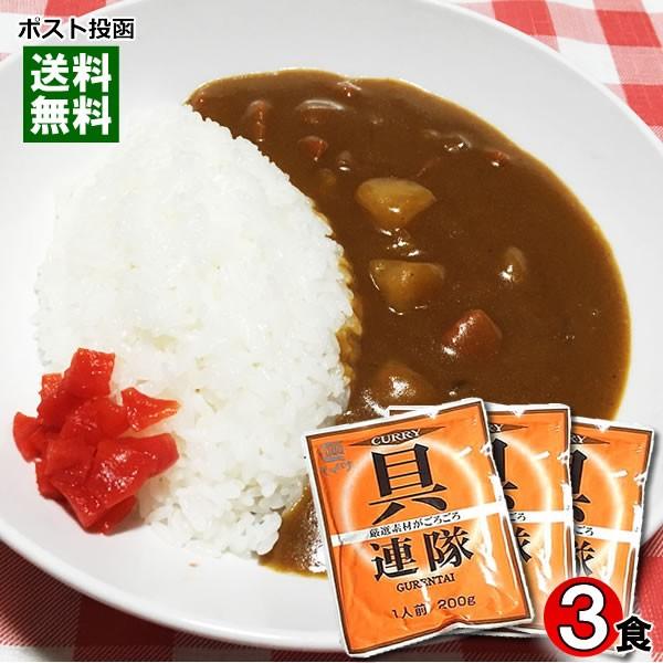 業務用カレー 具連隊 カレー 200g×3食お試しセット