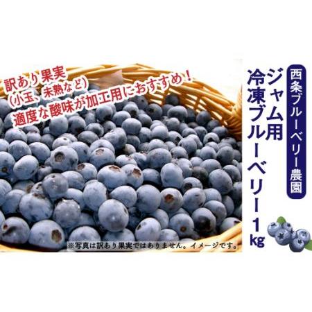 ふるさと納税  ジャム用冷凍ブルーベリー１kg　西条ブルーベリー農園 ブルーベリー 冷凍 2024年7〜9月発送 愛媛県西条市