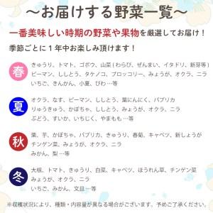 ふるさと納税 定期便 6回 野菜 セット 8品程度 旬の野菜セット きゅうりトマト なす ピーマン キャベツ 白菜 ほうれん草 山菜 オクラ ブロッコリ.. 高知県須崎市