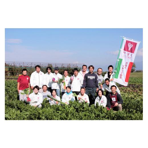 ふるさと納税 山形県 河北町 かほくイタリア野菜 旬のおまかせBOX（約8〜10種類）野菜の説明おしゃれな料理が簡単に作れちゃうレシピ付き♪