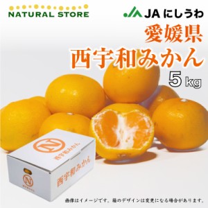 [予約 11月5日-11月30日の納品]  西宇和みかん SML 約5kg 愛媛県 早生 中生 南柑 産地箱 冬ギフト お歳暮 御歳暮