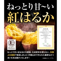 さつまいも 紅はるか 3.5kg 創成アグリ《10月末-1月末頃より順次出荷》熊本県 御船町 野菜 芋 さつま いも 焼き芋 有機JAS規格 送料無料