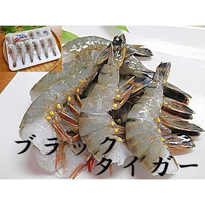 えび ブラックタイガー 12尾×1個入 ウシエビ 牛海老 うしえび エビ 海老 養殖ブラックタイガーエビ