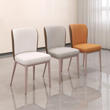 公司貨 最低價 免運  餐椅家用輕奢現代簡約餐桌椅子網紅2024新款靠背小戶型高級感凳子