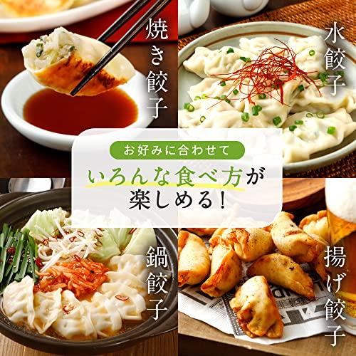 Green 餃子 業務用 (プレーン)ヘルシー 菜食 野菜餃子 国産野菜 業務用 プラントベース 大豆ミート 植物肉 ヴィーガン