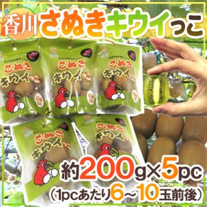 香川県 ”さぬきキウイっこ” 約200g×《5pc》（1pcあたり6～11玉前後） 送料無料