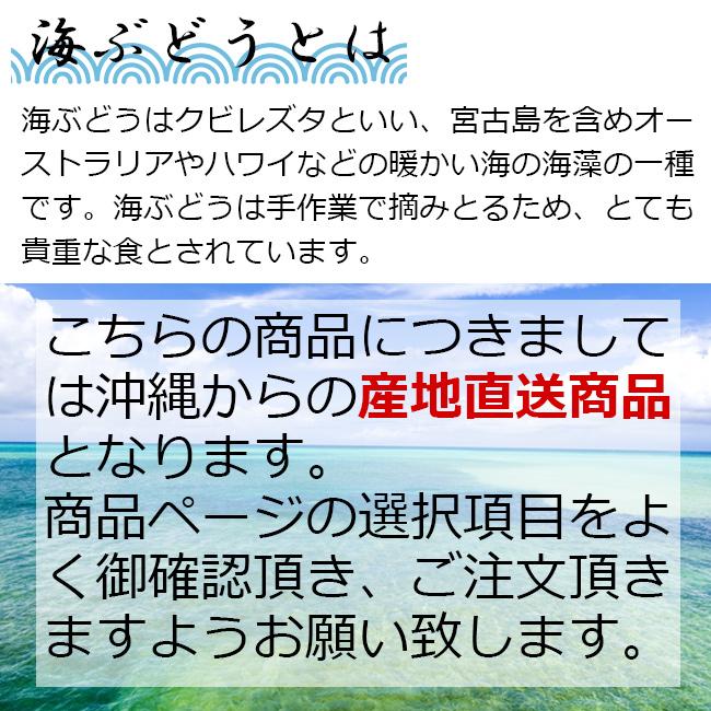 海ぶどう80g入り　美らぶどう　沖縄県産　生ぶどう　大粒　常温　冷蔵庫保管不可　産直商品　同梱不可　キャンセル不可