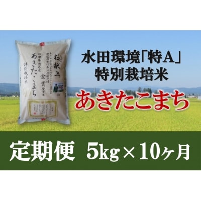 特別栽培米あきたこまち精米5kg定期便(10ヶ月)[F2104]