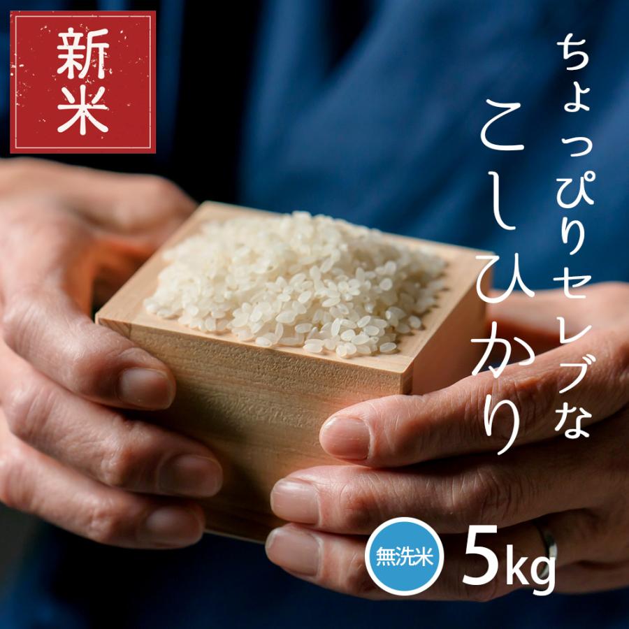 新米 米 お米 5kg ちょっぴりセレブな コシヒカリ 無洗米 国内産 令和5年産 精米5kg こしひかり