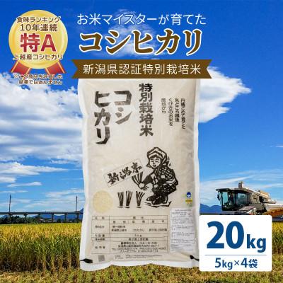 ふるさと納税 上越市 お米マイスターが育てた 特別栽培米 コシヒカリ 上越頸城産 令和5年産 20kg(5kg×4袋)白米