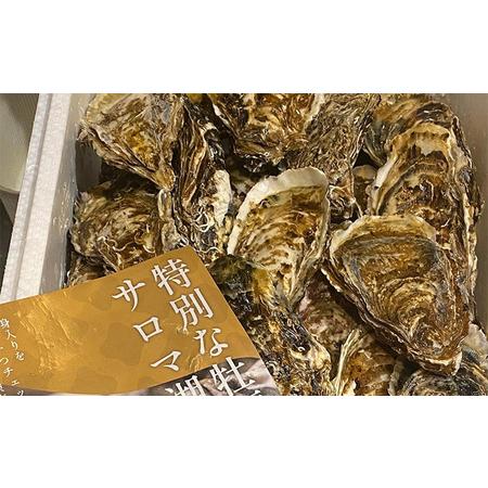 ふるさと納税 北海道 オホーツク サロマ湖産 殻付きカキ 生食可 3.5kg 牡蠣職人厳選 北海道湧別町