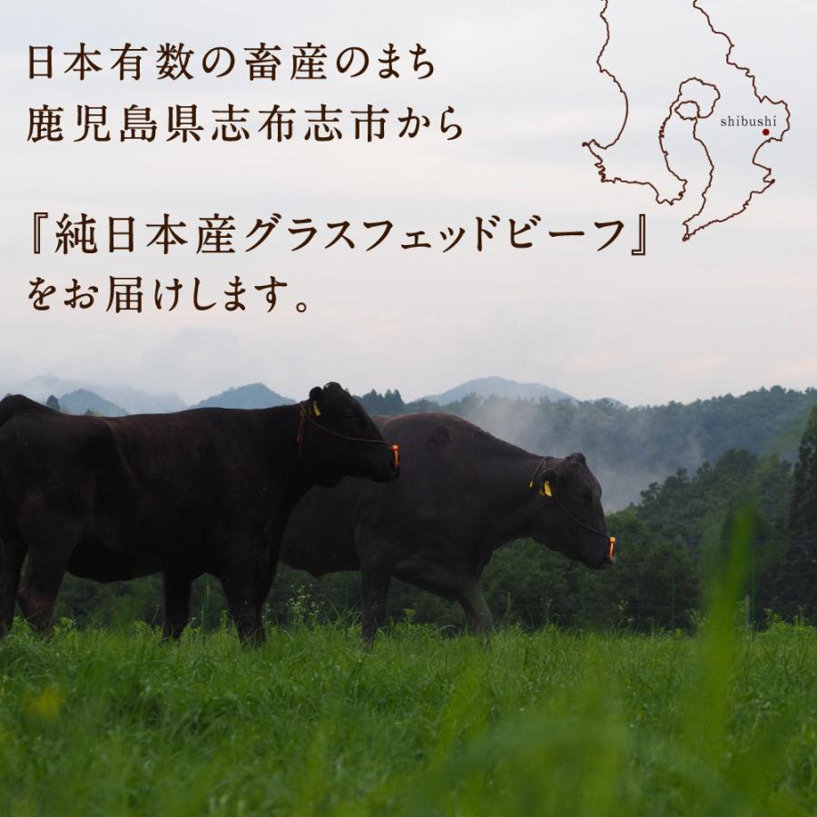 焼肉2種セット 合計700g(ロース150g×2 切り落とし200g×2) 純日本産 グラスフェッドビーフ 国産 黒毛和牛 赤身 牛肉 焼き肉 お歳暮 ギフト 送料無料