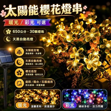 現貨✨太陽能櫻花燈 花瓣燈 節日裝飾 氣氛燈 彩燈 LED燈串 庭院裝飾燈 太陽能花燈 節能防水燈 戶外燈串 園藝燈