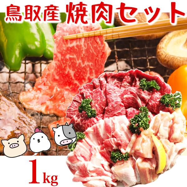 焼肉セット 1kg(３〜5人前) 牛肉 豚肉 鶏肉 焼き肉 バーベキュー BBQ ファミリーセット たっぷり１キロ 送料無料