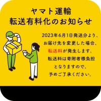 北海道産ホタテのカレー350g×2人前