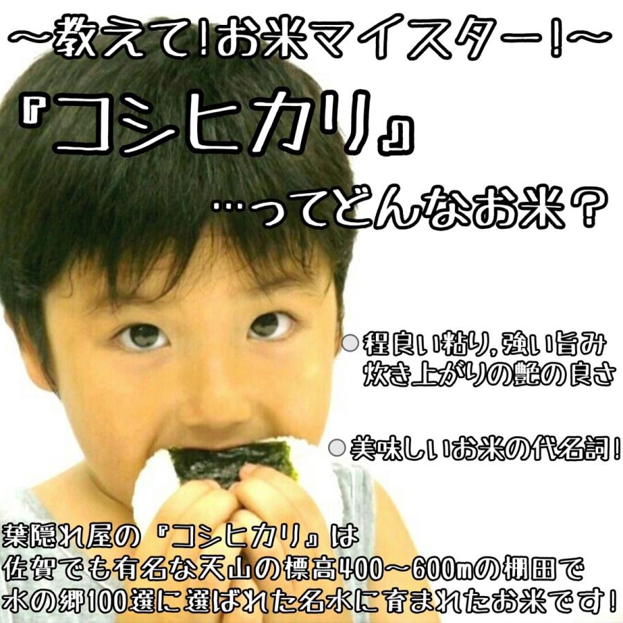 棚田米　無洗米　コシヒカリ　２kg×４袋　真空パック　米　白米　精米　産地直送　佐賀県産　８kg　お米