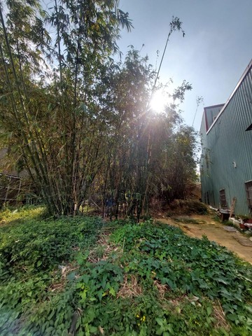 竹科三期旁中興路綠地｜新竹縣竹東鎮國王段