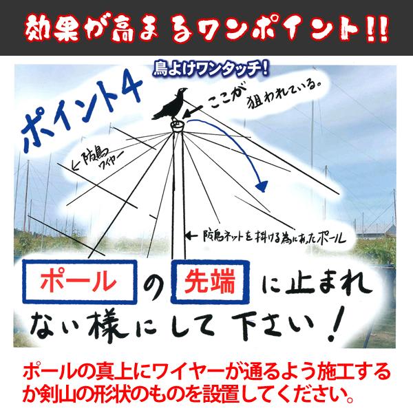 バネ付きワイヤーテンション金具 鳥よけワイヤー 鳥よけワンタッチ ビニールハウス 農業資材