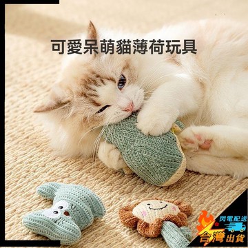【台灣出貨】寵物玩具 貓咪玩具 貓薄荷 貓玩具 毛絨玩具 自嗨解悶神器 寵物逗貓棒 小貓幼貓磨牙 貓咪用品