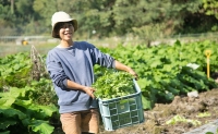 瀬戸内産 旬の野菜セット Wacca Farm