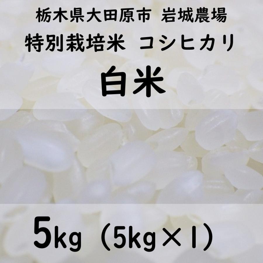 特別栽培米コシヒカリ 2023年産（5kg×1）