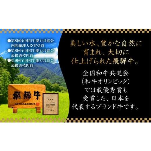 ふるさと納税 岐阜県 高山市 飛騨牛  もも 焼肉用 600g 飛騨牛 タレ付 和牛 国産和牛 黒毛和牛 食べ比べ  モモ 和牛 ブランド牛  c573