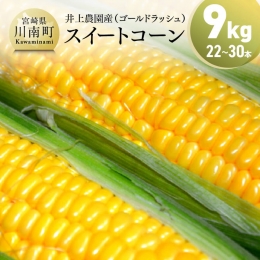  宮崎県産 とうもろこし 井上農園産 スイートコーン ゴールドラッシュ 9.0kg 