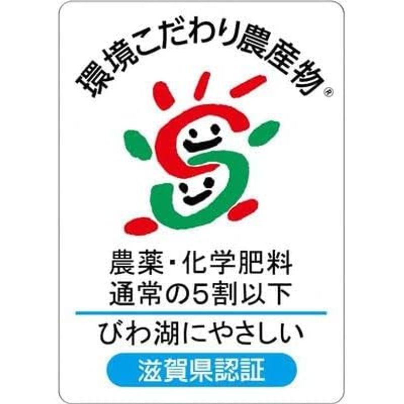 精米 コシヒカリ 精米済み白米 令和4年 滋賀県産 環境こだわり米 減農薬… (10kg(5kg×2))