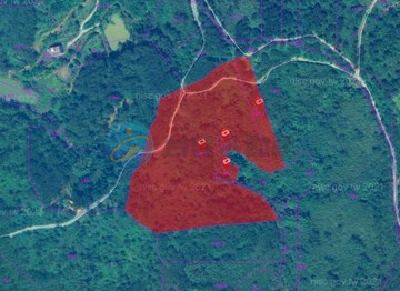 苗栗通霄優質農地~視野景觀美農地｜苗栗縣通霄鎮北勢窩段