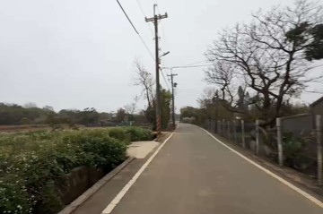 214育仁國小建地｜桃園市觀音區金湖段