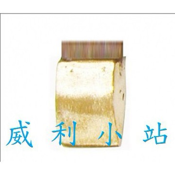【威利小站】斧頭型烙鐵用銅頭(烙鐵頭)SG-200/SG300/SG500 200W/300W/500W/110V