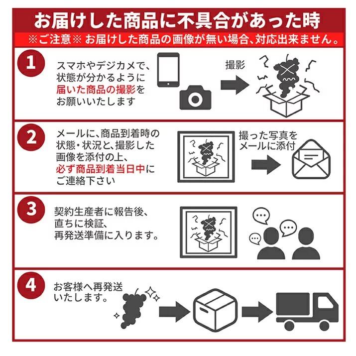 ぶどう 秀品 シャインマスカット 2房 (1房約700g前後) 山形県産 ブドウ ギフト 贈答 プレゼント 化粧箱 贈り物 大粒 産地直送 (遠方送料加算)