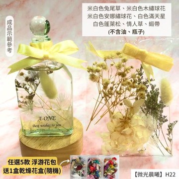 【A-ONE】浮游花DIY花材包 乾燥情人草 花束 安娜繡球花 療癒 畢業花束 可做 插花 捧花 浮游花瓶 H22微光晨曦