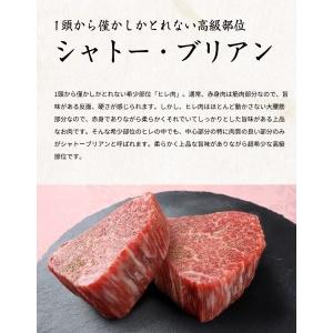 ふるさと納税 熊野牛A4以上ヒレシャトーブリアンステーキ100g×2枚＆霜降りサーロインステーキ180g×2枚 和歌山県串本町