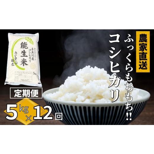 ふるさと納税 新潟県 糸魚川市 令和5年産新米新潟県産コシヒカリ『能生