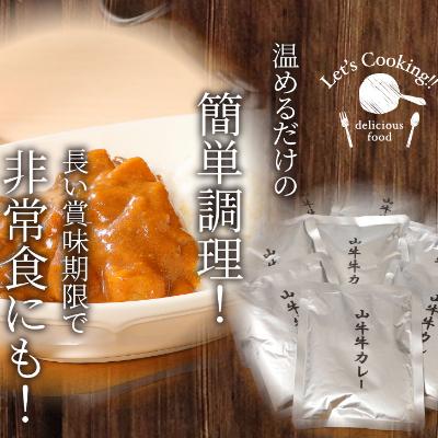 ふるさと納税 木城町 「山牛」のオリジナルカレー10パックセット