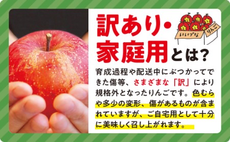 りんご サンふじ 家庭用 5kg 令和5年度収穫分 沖縄県への配送不可 2023年12月上旬頃から2024年1月中旬頃まで順次発送予定 宮本ファーム エコファーマー 減農薬栽培 長野県 飯綱町 [1491]