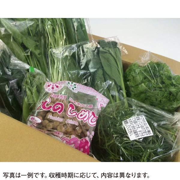 旬の野菜セット (野菜と果物8〜10品目) 奈良 和歌山 採れたて 産地直送 減農薬 有機質肥料 詰め合わせ(送料無料)