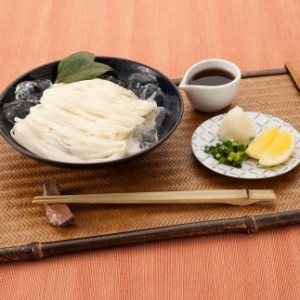 送料無料 手延べのどごしうどん 「つる美」   お取り寄せ グルメ 食品 ギフト プレゼント おすすめ