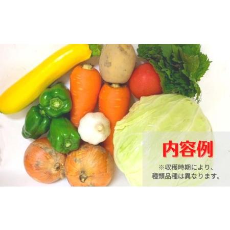 ふるさと納税 阿波の国海陽町　旬のお野菜詰め合わせセット６‐９品 徳島県海陽町