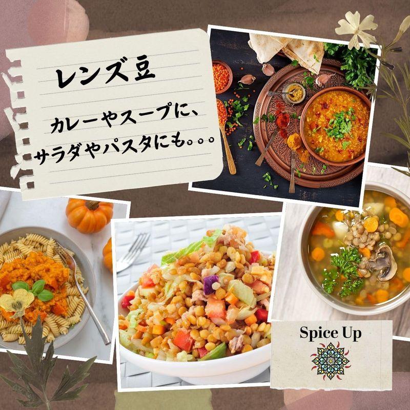 Spice UPレンズ豆 (500)