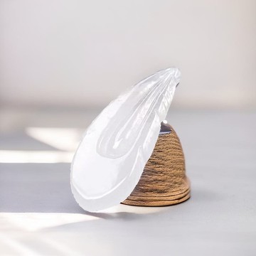 玻璃種翡翠羽毛 | 天然緬甸玉A貨翡翠 | 送禮