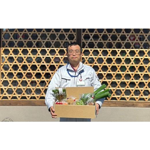 ふるさと納税 新潟県 糸魚川市 直売所からお届け！　旬の野菜セット（8〜10品詰め合わせ）　新鮮な野菜直送便