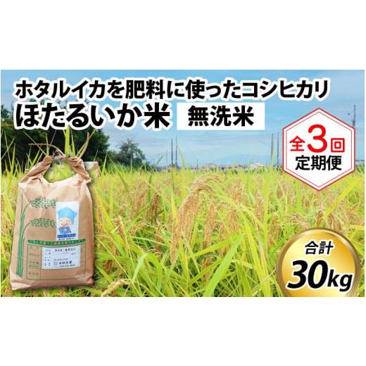 ふるさと納税 富山県 滑川市 ほたるいか米（無洗米10kg）×3回 計30kg