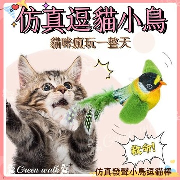 🐾逗貓棒 發聲貓玩具 仿真小鳥逗貓棒 貓咪互動玩具 逗貓 發聲玩具 仿真小鳥 貓互動 懶人逗貓神器 寵物玩具 貓咪玩具