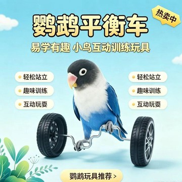百貨研究所⚡️鸚鵡玩具解悶平衡車陪伴道具虎皮牡丹滑輪技能訓練道具玄鳳鳥玩具🎉
