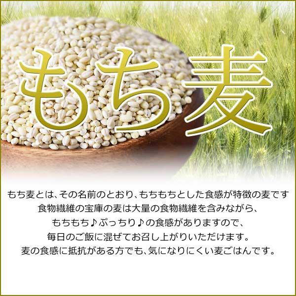 レジスタントスターチ グルメもち麦 もちむぎ 900g (訳あり わけあり) 大麦 βグルカン 送料無料 セール スーパーフード