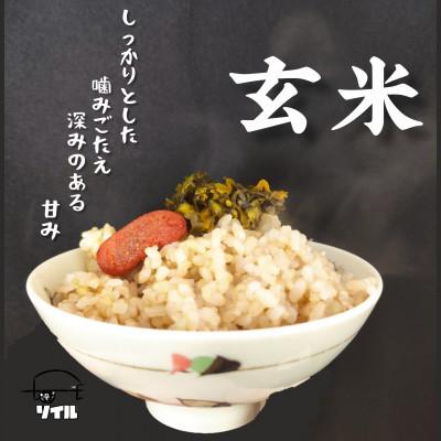 ふるさと納税 飛騨市 飛騨古川産　特別栽培米こしひかり玄米 10kg