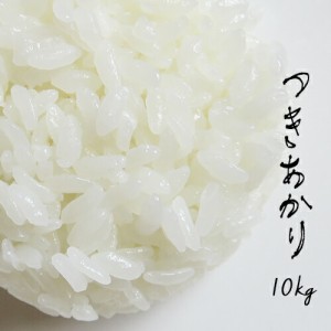 新米  米 10kg 青森県産 5年産 特別栽培米 つきあかり 白米10kg（5kg×2）